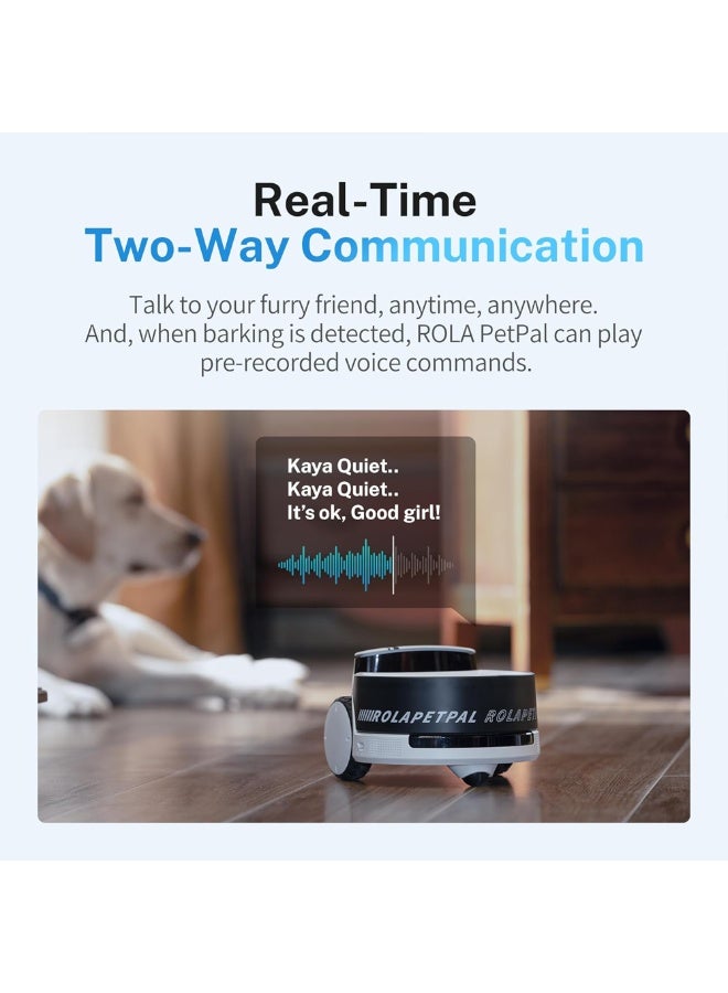 اينابوت رولا PetPal روبوت كاميرا متحرك لمراقبة الحيوانات الأليفة، استخدام داخلي، بث فيديو مباشر HD، صوت ثنائي الاتجاه، تحكم ذكي عبر التطبيق للقطط/الكلاب/العائلات - Image 4
